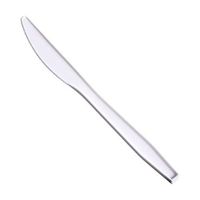 AmazonBasics Light-Weight Plastic Knives, White, 250-Pack