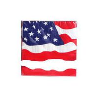 Patriotic Flag Paper Lunch Napkins, 13 Inch - 20 Ct.