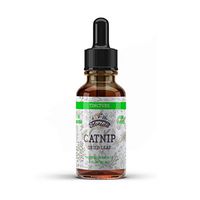 Catnip Tincture, Organic Catnip Extract (Nepeta Cataria) Dried Leaf Herbal Supplement, Non-GMO in Cold-Pressed Organic Vegetable Glycerin, 700 mg, 2 oz (60 ml)