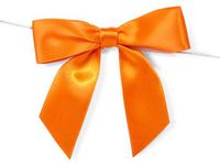 6ct. Pre-Tied Orange 3" Satin Gift Bows Wire Ties Ready-to-Use 7/8" Ribbon