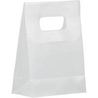JAM PAPER Frosted Lunch Bags - 3 x 4 x 1 1/2 - Clear - Sold Individually