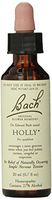 Bach 86670 1 x 20 ml Flower Essence Holly by Bach