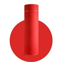 ZHENQ Vacuum Bottle with Filter Thermos Stainless Steel Mug Coffee Cup Water Bottle Office Commercial Home Thermos Compact Design Takes up Minimal Space (Color : C)