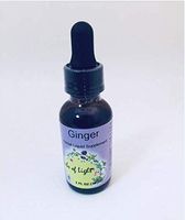 Ginger Herbs of Light 1 oz Liquid
