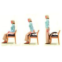Uplift Seat Assist - Uplift Plus Seat Assist