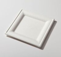 8" Biodegradable Square Plate Sugarcane (Pack of 400)
