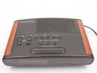 Sony Vintage Icf-c420 Am/fm Clock Radio with Dual Alarm Woodgrain (Discontinued By Manufacturer)