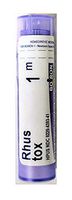 Boiron Rhus Toxicodendron 1m, 80 Pellets Per Pack