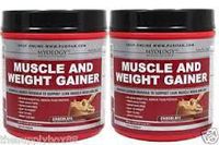 Muscle & Weight Gainer Chocolate - 1.5 lbs Powder - 2 Pack Made in USA for Myology Muscle Science