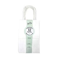 GIFT EXPRESSIONS 12 Small White Kraft Paper Bags, Kraft Gift Bag, Premium Quality Paper (Sturdy & Thicker), Biodegradable, Party Bags, Shopping Bag, Kraft Bags