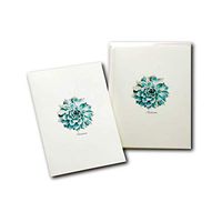 Earth Sky + Water - Succulent Notecard Set - 8 Blank Cards with Envelopes