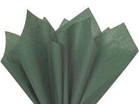 Buy All Store *16 Colors!!* Tissue Paper for Gift Wrapping 15"x20" Solid Sheets Your Choice! (10 Ct) (Forest Green)