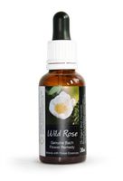 Wild Rose Bach Flower Remedy 30ml. Genuine Traditionally-Made Remedies. Large 30ml Flower Essence Practitioner Bottle