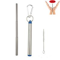 Drink Straws - Portable Stainless Steel Straw with Case,Keychain & Cleaning Brush,Reusable Drinking Straws,304 Material,BPA Free, FDA Authentication (natural)