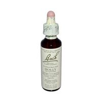Bach Holly 20 Ml