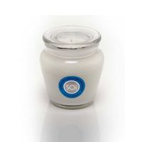 SOI Candles Island Breeze 16 Ounces Jar Candle
