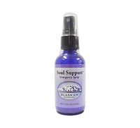 Soul Support Flower and Gem Spray 2 oz Size