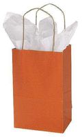 Paper Shopping Bags 100 Burnt Orange Retail Gift Merchandise 5 ¼" x 3 ½ x 8 ¼"