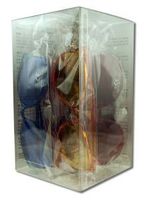 MRH International Color Therapy Glasses Natural Eyes 7 Pairs Kit