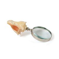 Seashell Magnifier Silver White Glass