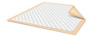 McKesson StayDry Underpads 30 X 30 Inch - Case of 100 (10 per Bag, 10 Bags per Case)