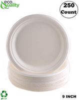 EcoQuality 100% Compostable 9-Inch Plates [250 Count] - Natural SugarCane Biodegradable Compostable Bagasse Bamboo Environmentally Friendly - Plates for Dessert, Appetizers, Birthdays, Microwavable