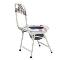 Zhong Foldable Rotating Pregnant Women Toilet Seat Spray Plastic Stainless Steel High Back Seat Toilet