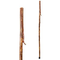 Hiking Walking Trekking Stick - Handcrafted Wooden Walking & Hiking Stick - Made in the USA by Brazos - Hickory Photographer - 55 inches