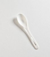 Biodegradable Disposable Spoons Bulk Case of 1000 (20 Sleeves of 50)