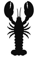 Pack of 3 Lobster Stencils 16x20, 11x14 and 8x10 Made from 4 Ply Matboard