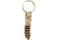 Real Rattlesnake Rattle and Skin Keychain (AR-42-31S) C4D