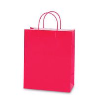 FLOMO Euro Medium Hot Pink Gift Bags (Set of 12)
