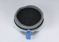 ACDelco 15210476 GM Original Equipment Radio Speaker