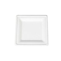 Go-Green Eco-Friendly 100% compostable, Sugarcane Fiber, Disposable 10-Inch Square Plate, 125 Pack.