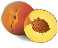 Peach Scented Clean Burning Oil 8oz (Aromatherapy & Meditation Grade)