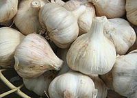 Garlic, Powder - Wildcrafted - Allium sativum (454g = One Pound) Brand: Herbies Herbs