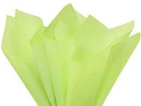 Pistachio Tissue Paper 20x30" 24 Sheet Mini-Pack (12 Packs) - Wraps-CTQPS