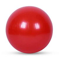 ZENWENProfessional Grade Stability and Yoga Ball for Fitness Professional Exercise for Fitness Quick Pump Pregnancy Birthing Ball Balance,red-70cm