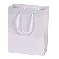 Small Glossy Paper Gift Bags - Case of 100