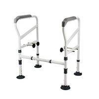 Hong Tai Yang XF Old Man Toilet armrest, Aluminum Alloy Anti-Slip Suction pad no Need to Install no Rollover, no Need to Punch Foldable (Color : Suction pad)