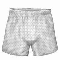 Prevail? Boxers for Men - CASE/48 (small/medium 28 - 40) by Prevail
