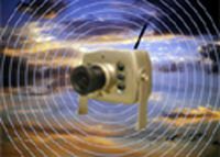 Birdhouse Spy Cam BCAMHEW Hawk-Eye Wireless Spy Camera (Set of 1)