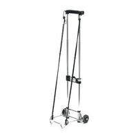 Remin Kart a Bag Flite Lite C525