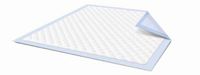 McKesson Lite Underpads 23 X 36 Inch, Light Absorbency, Case of 120 (10 per Bag, 12 Bags per Case)