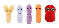 GIANTmicrobes Probiotics 5-Pack