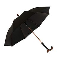SJY Crutches Umbrella Long Handle Separable Umbrella Multifunction Reinforce Non-Slip Trekking Pole Elderly Crutch Mountaineering Aid Walking Stick,Black