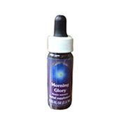 Morning Glory Dropper, 0.25 oz by Flower Essence Services (Pack of 3)