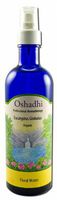 Oshadhi Hydrosols Eucalyptus, Globulus Organic 200 mL