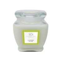 SOI Candles Citrus Teak 16 Ounces Jar Candle