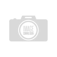 Air Filter, 8-1/8 x 17-3/16 in.